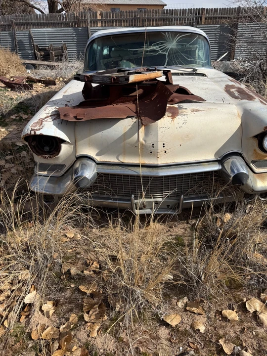 1951 Cadillac Series 61 - Image 2 of 12