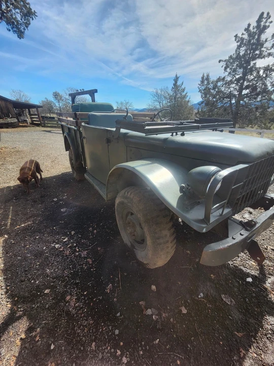 1951 Dodge Military Vehicles - Image 5 of 12