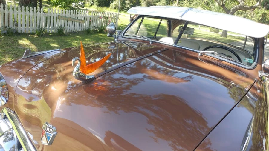 1951 Ford Shoebox - Image 11 of 12
