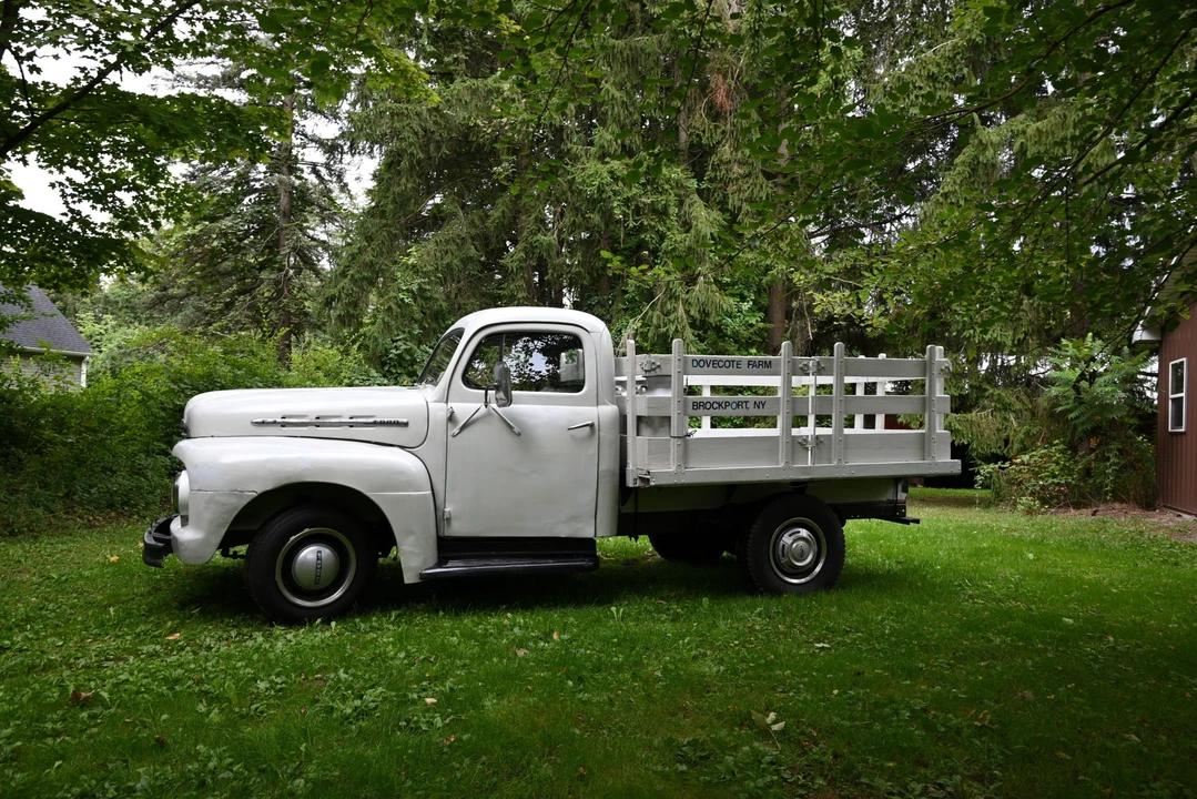 1951 Ford F-Series 1st Gen - Image 10 of 31