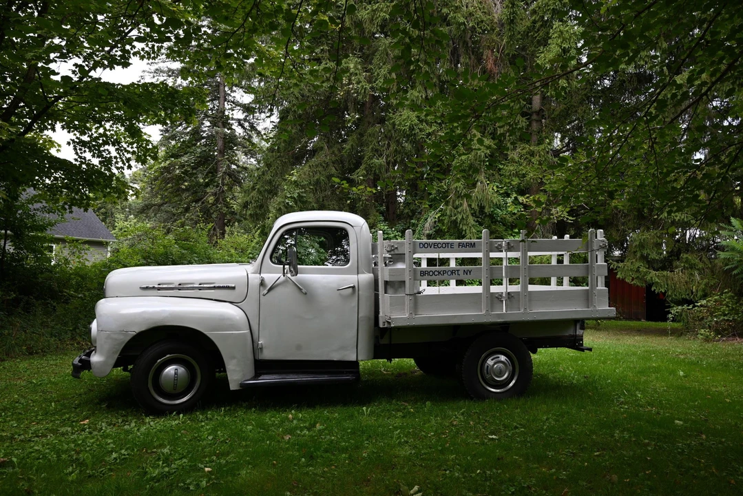 1951 Ford F-Series 1st Gen - Image 9 of 31