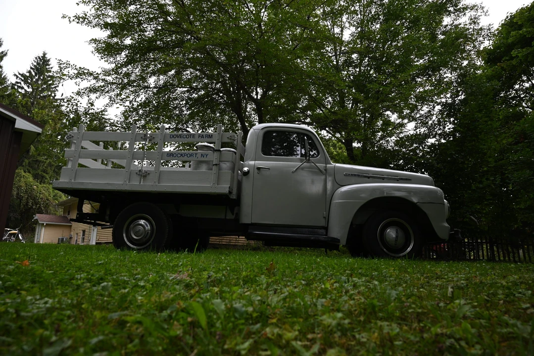 1951 Ford F-Series 1st Gen - Image 15 of 31