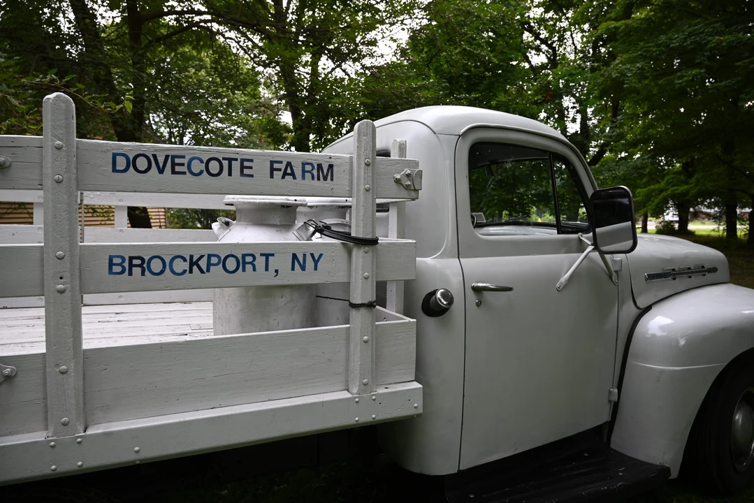 1951 Ford F-Series 1st Gen - Image 26 of 31