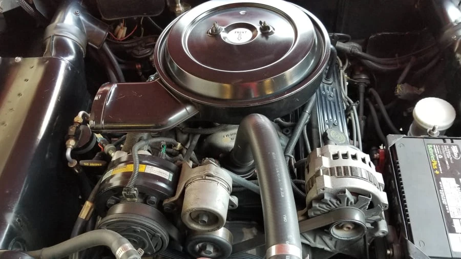 1951 Ford Shoebox - Image 5 of 12