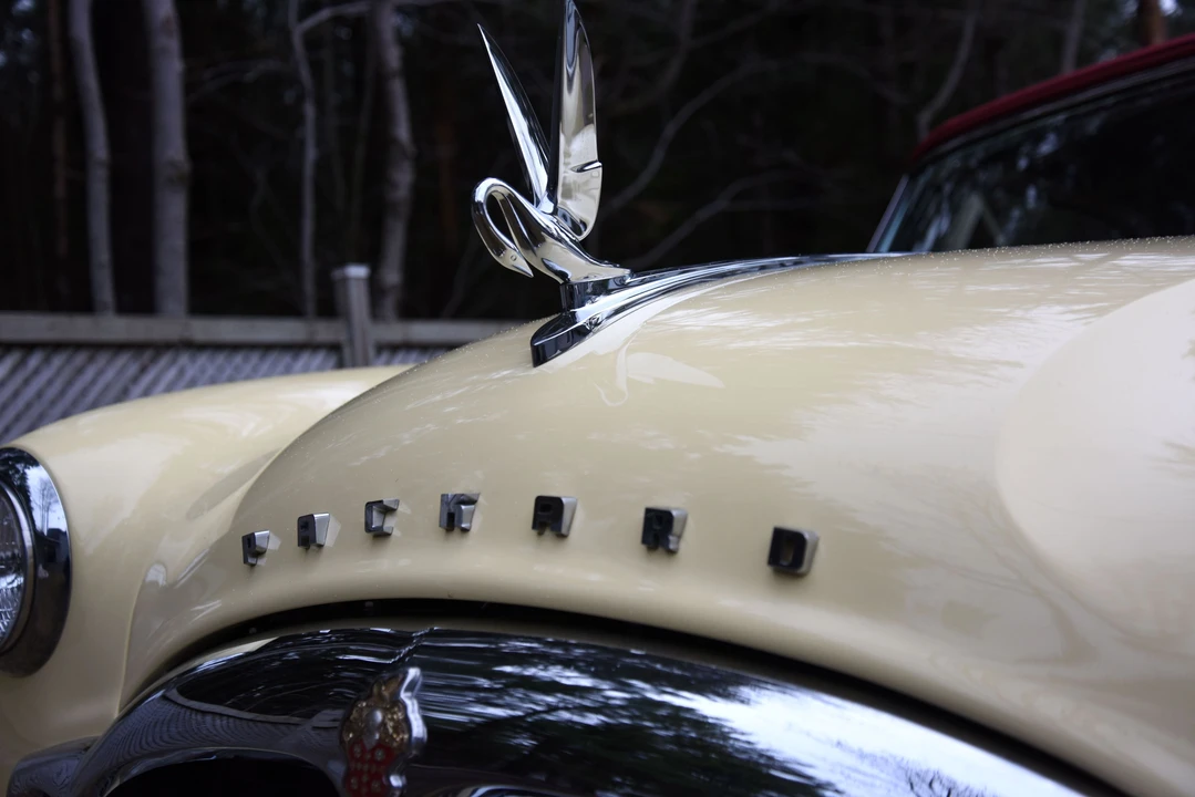 1951 Packard Clipper - Image 2 of 23