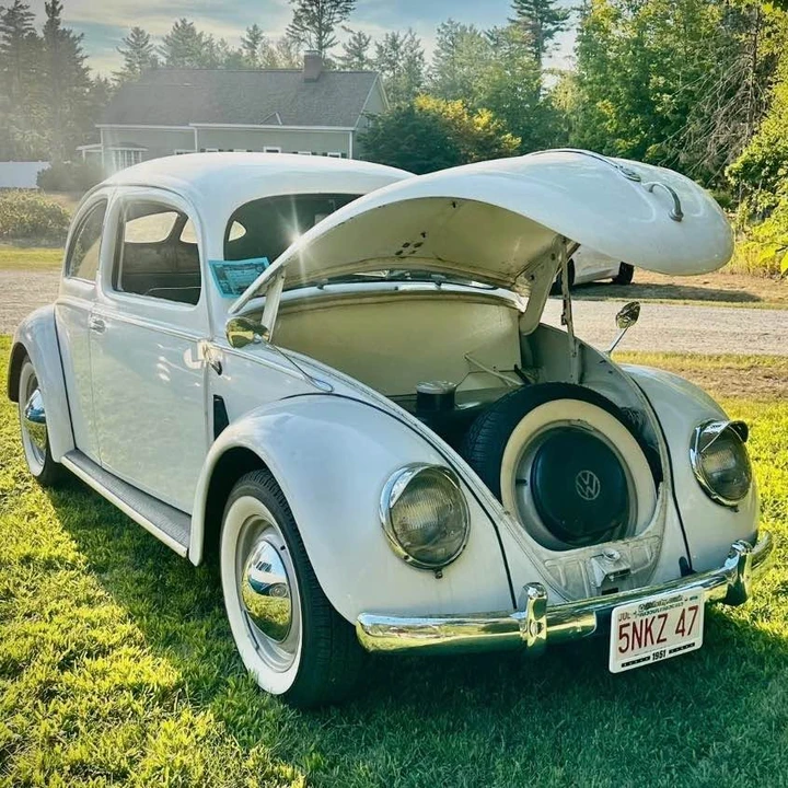 1951 Volkswagen Beetle (Split Window) - Image 6 of 20