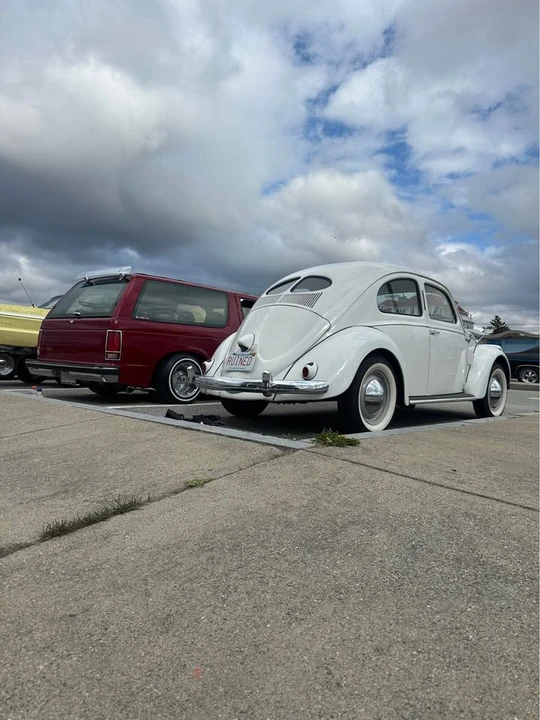 1951 Volkswagen Beetle (Split Window) - Image 16 of 20