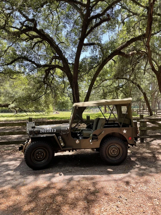 1951 Willys M38 & M38A1 - Image 13 of 31