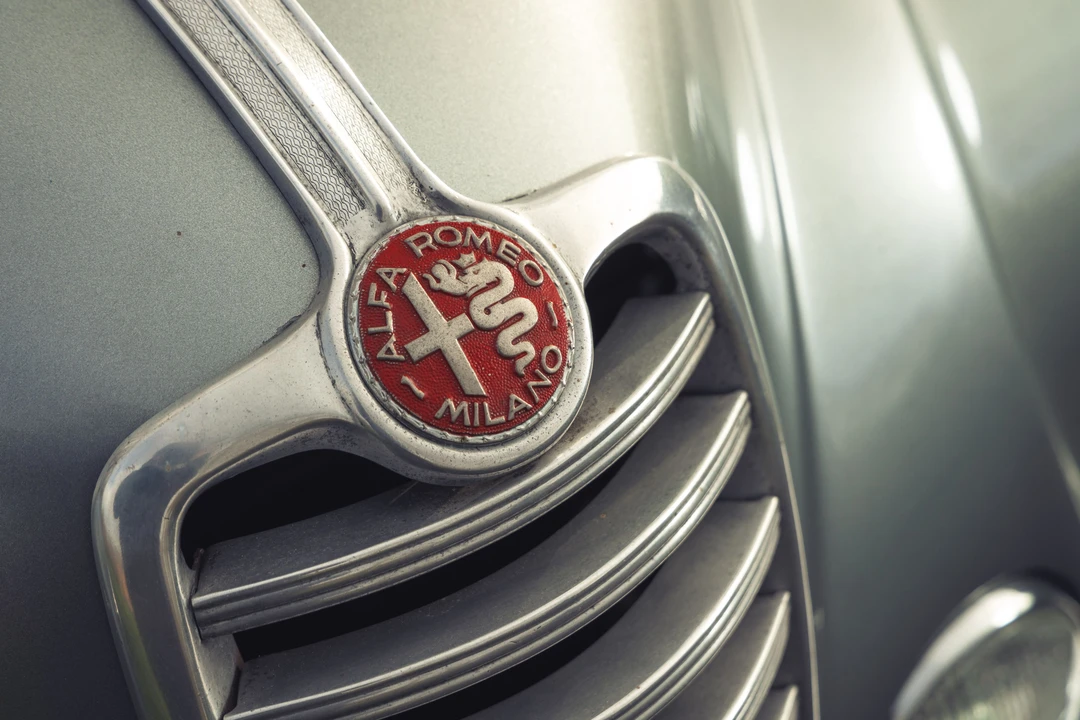 1952 Alfa Romeo 6C 2500 - Image 16 of 31