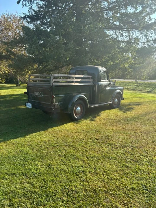 1952 Dodge B Series - Image 2 of 11
