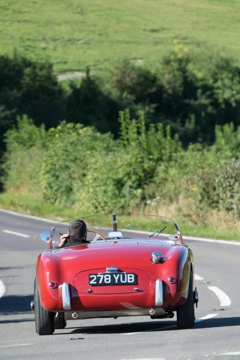 1952 Siata - Image 5 of 27