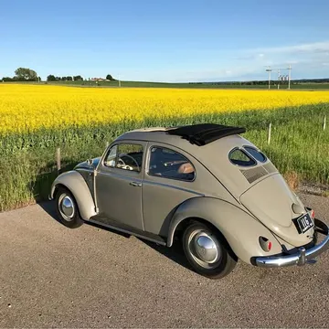 1952 Volkswagen Beetle
