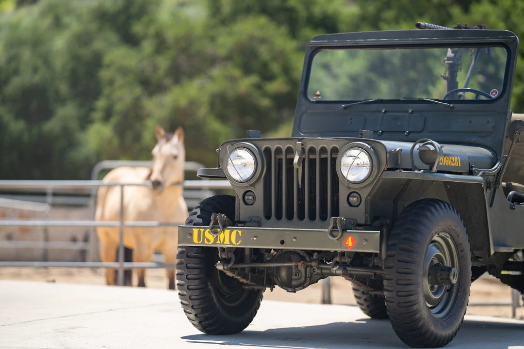 1952 Willys M38 & M38A1 - Image 28 of 31