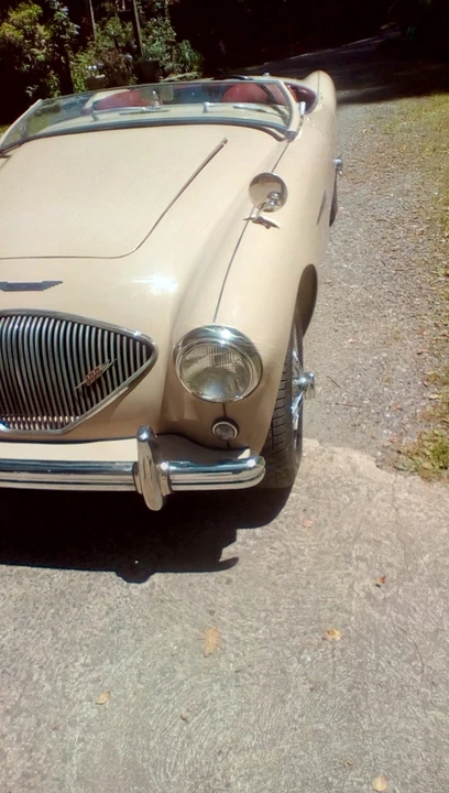 1953 Austin-Healey 100 - Image 22 of 31