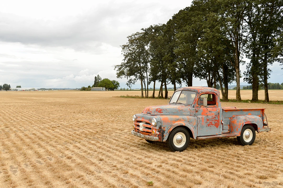 1953 Dodge B Series - Image 3 of 31