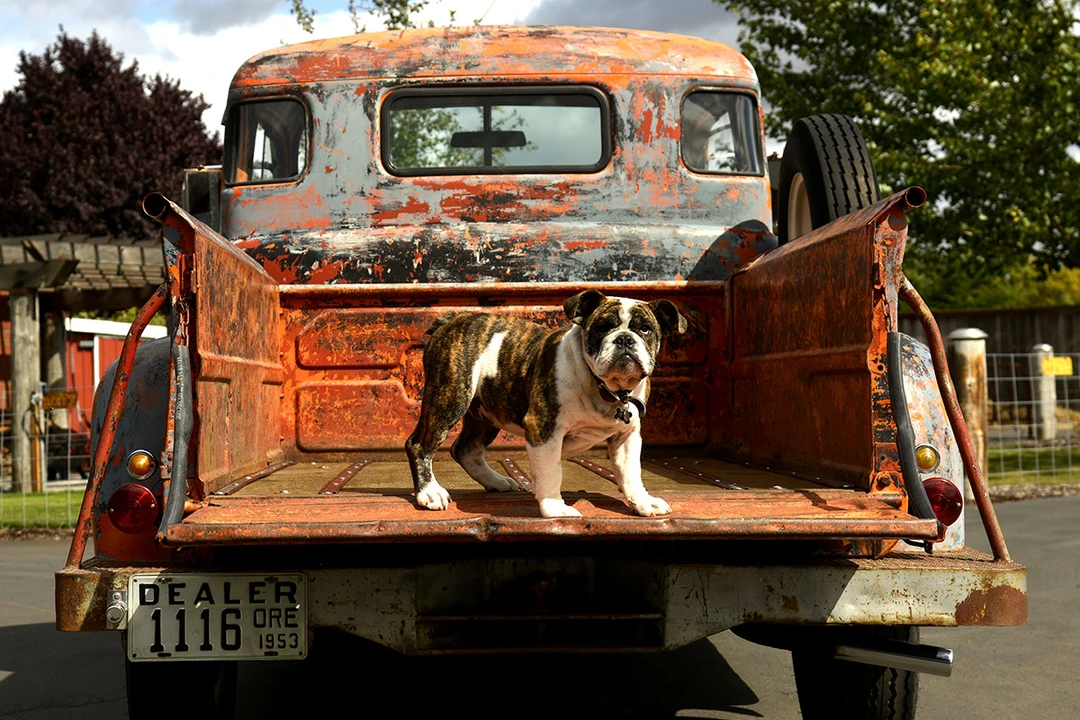 1953 Dodge B Series - Image 21 of 31