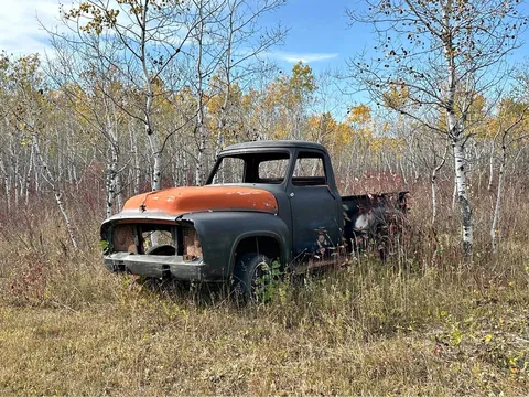 1953 Ford F-100