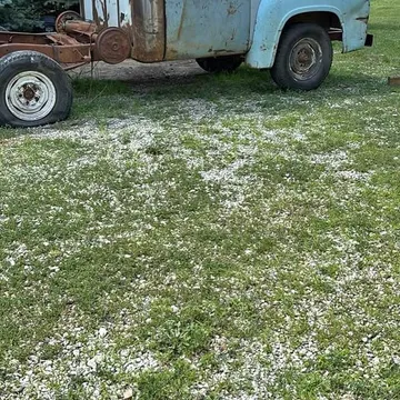 1953 Ford F-100