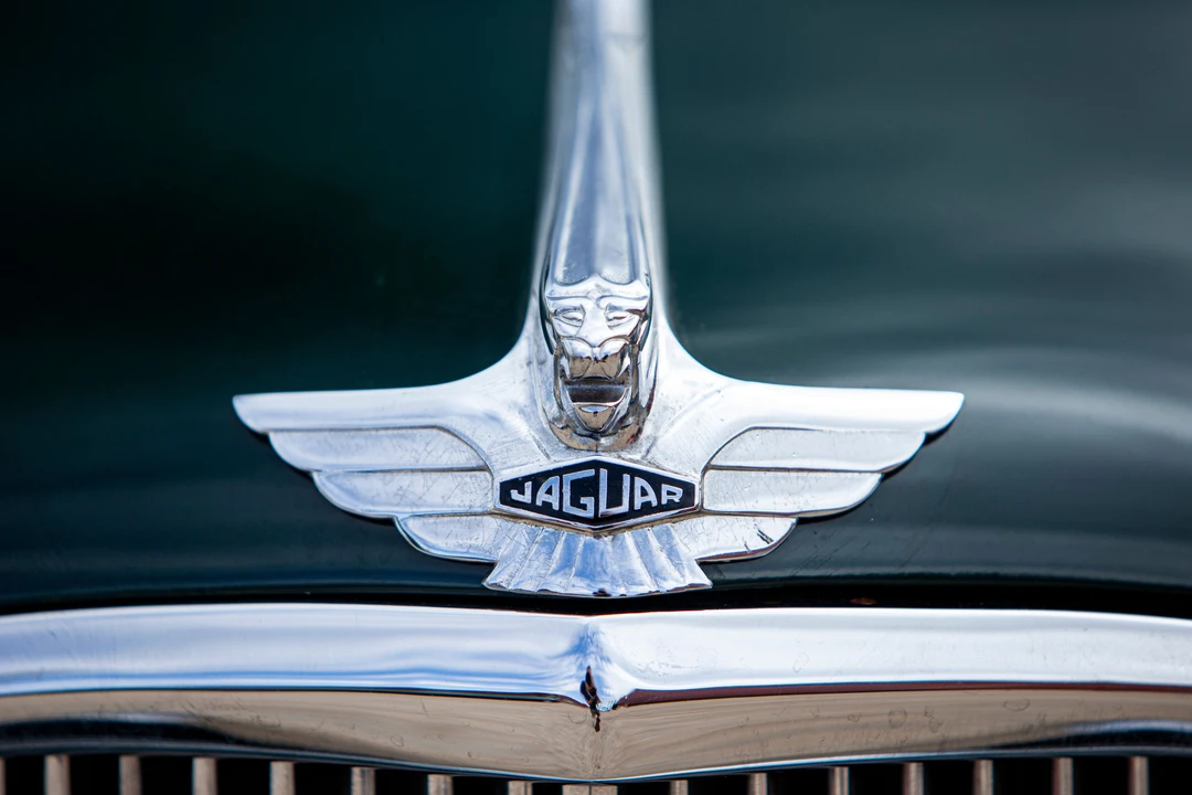 1953 Jaguar Mark VII & VIII & IX - Image 16 of 21