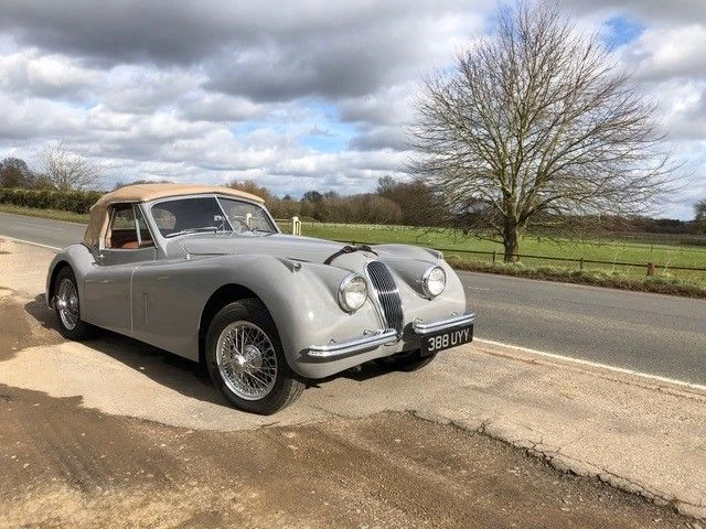 1953 Jaguar XK120 DHC Drophead - Image 8 of 8