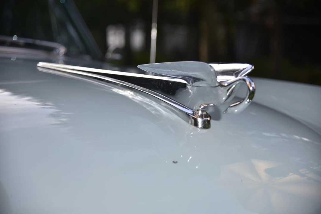 1953 Packard Clipper - Image 12 of 21