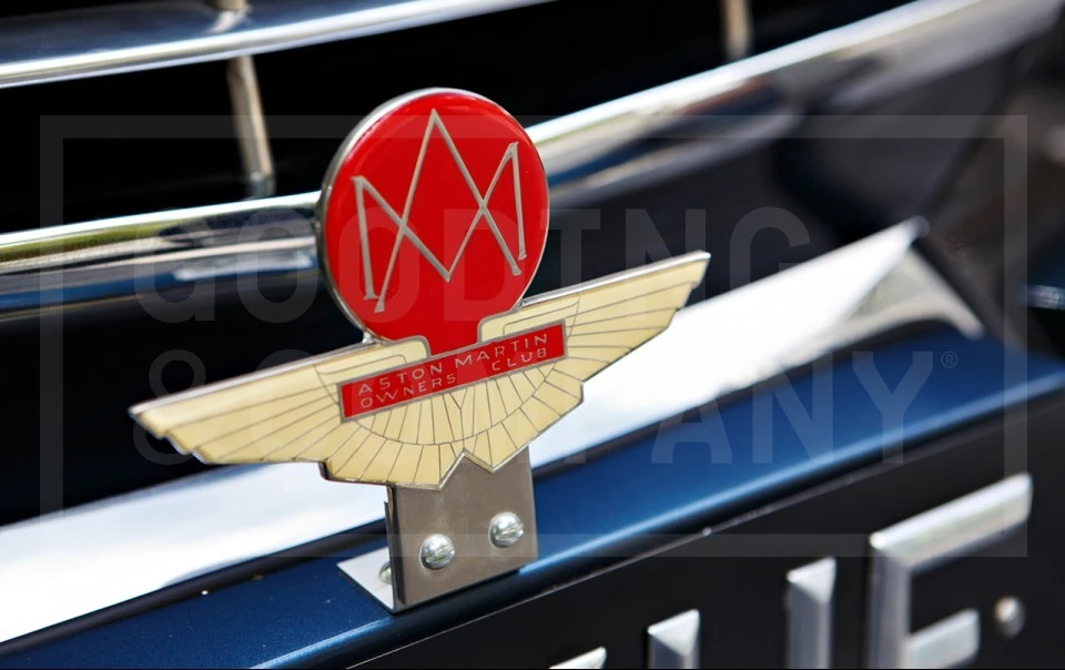 1954 Aston Martin DB1 & DB2 & DB2/4 & DB Mark III - Image 11 of 18