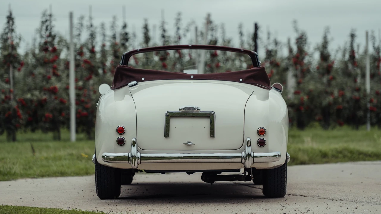 1954 Aston Martin DB1 & DB2 & DB2/4 & DB Mark III - Image 3 of 31
