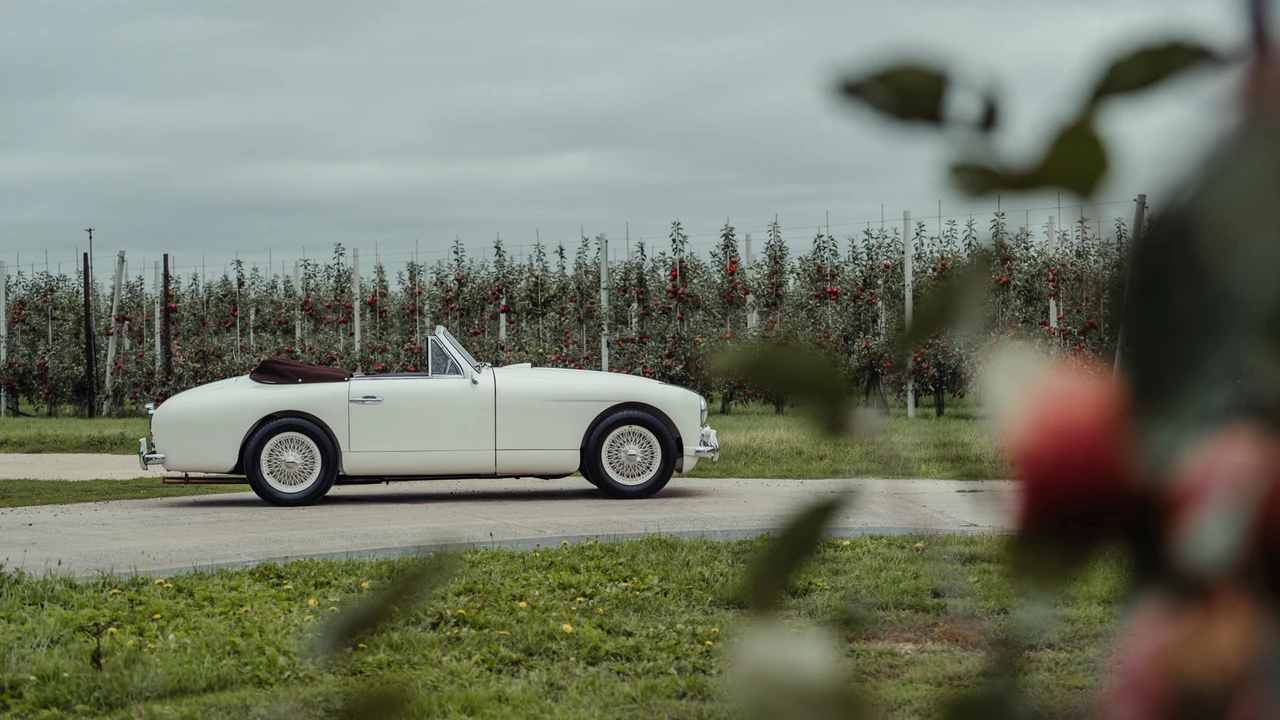 1954 Aston Martin DB1 & DB2 & DB2/4 & DB Mark III - Image 16 of 31