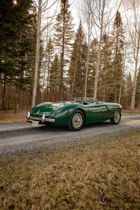 1954 Austin-Healey 100 - Image 15 of 31