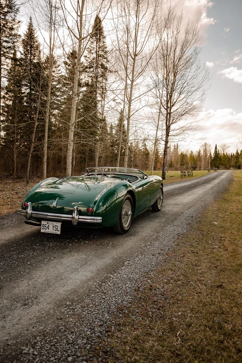 1954 Austin-Healey 100 - Image 16 of 31