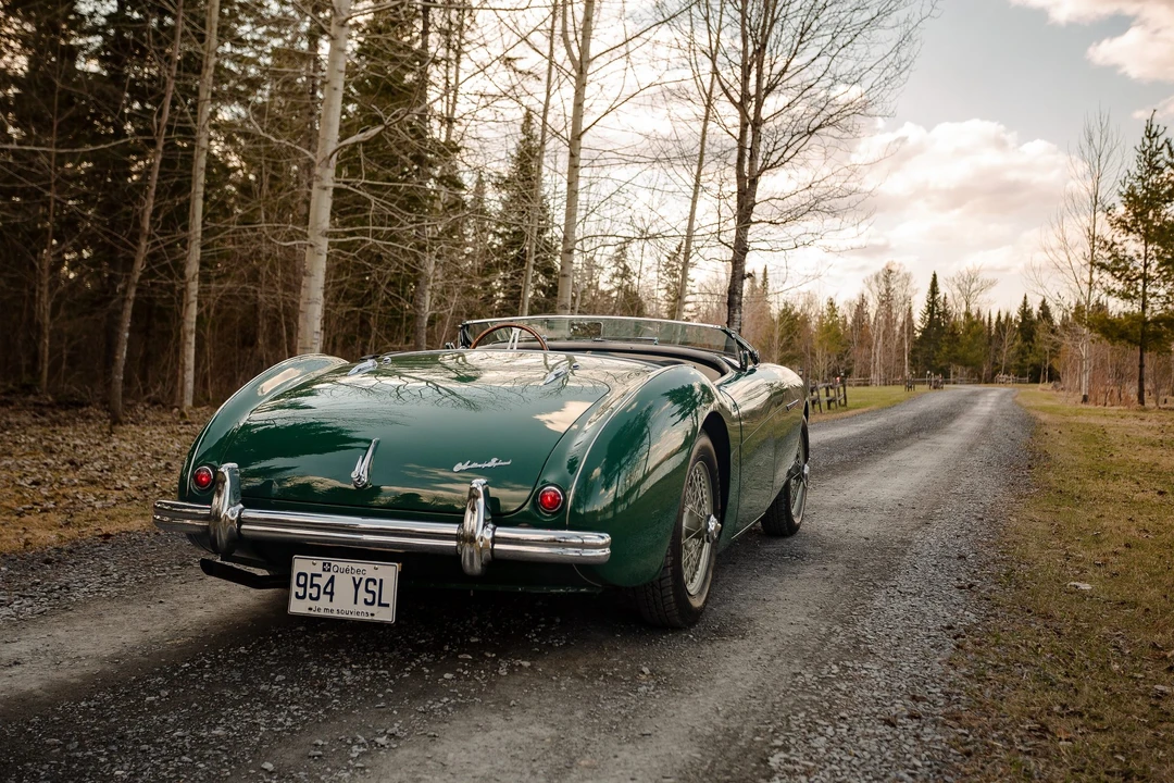 1954 Austin-Healey 100 - Image 17 of 31
