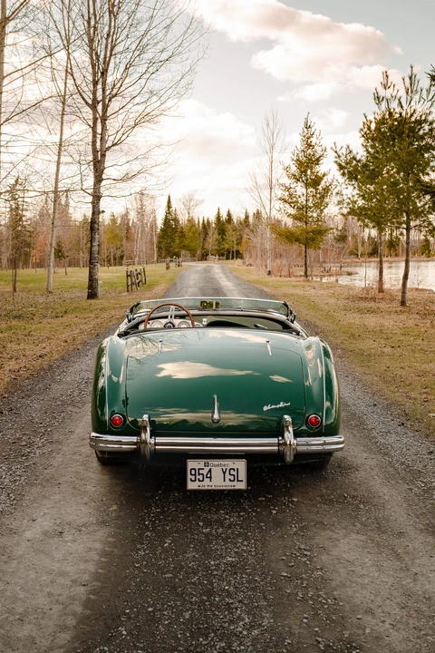 1954 Austin-Healey 100 - Image 19 of 31
