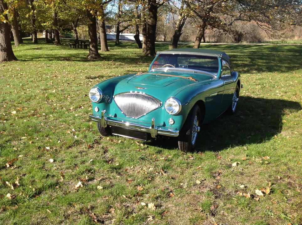 1954 Austin-Healey 100 - Image 15 of 15