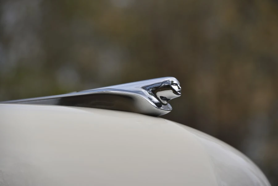 1954 Cadillac Eldorado 2nd Gen - Image 19 of 31