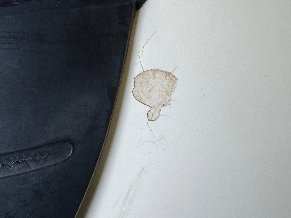 1954 Chevrolet 150 & 210 - Image 20 of 21