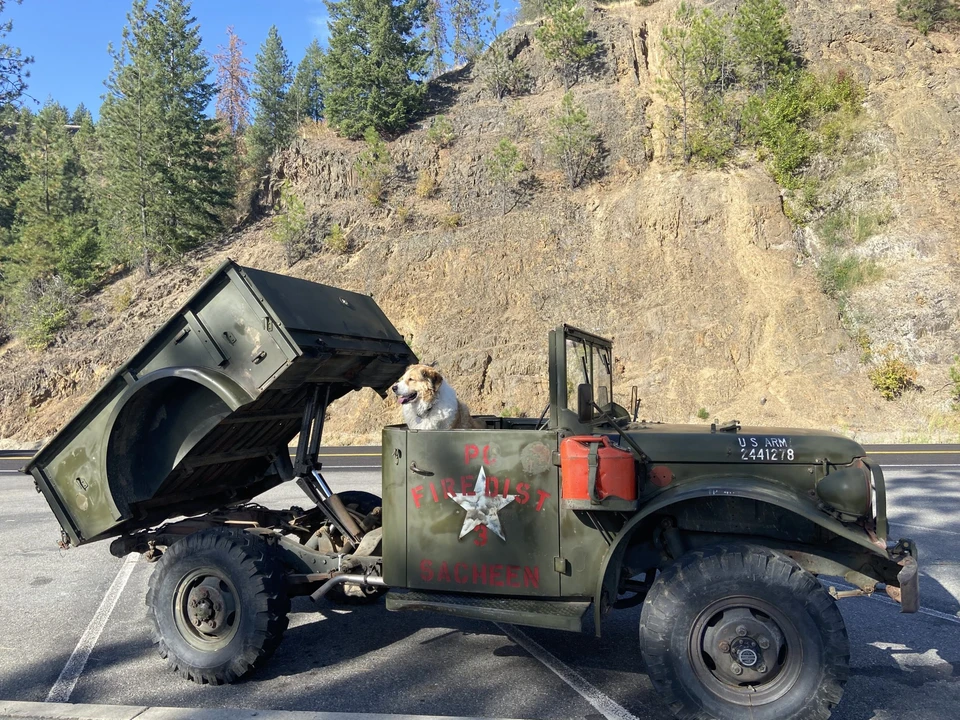 1954 Dodge Military Vehicles - Image 27 of 31