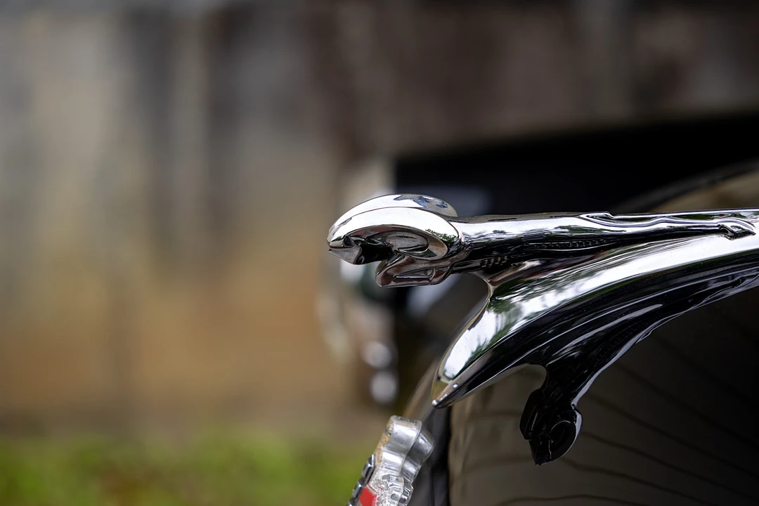 1952 Dodge Royal - Image 11 of 31
