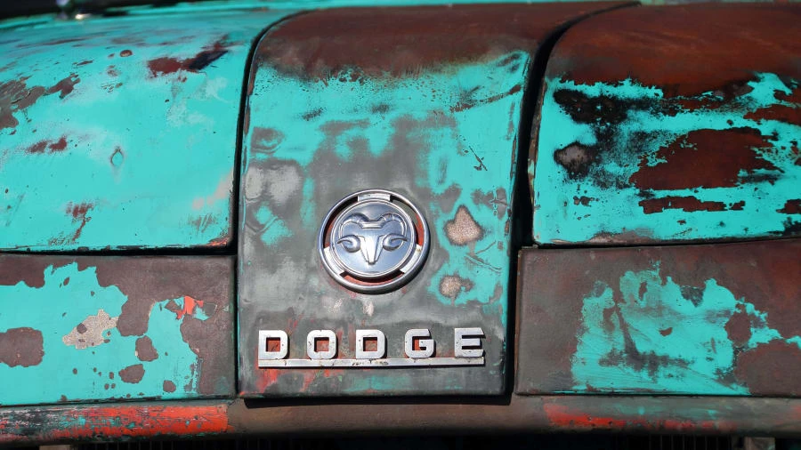 1954 Dodge C Series - Image 17 of 20