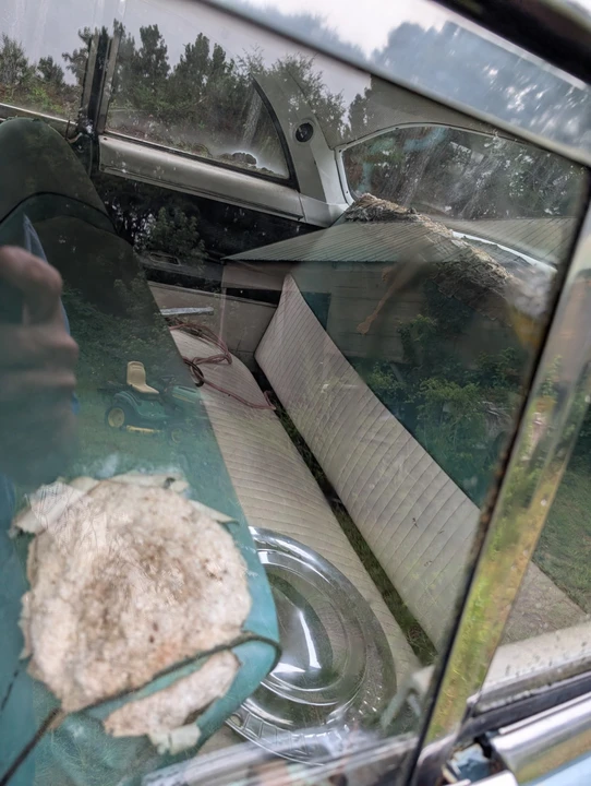 1954 Ford - Image 3 of 14