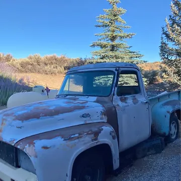 1954 Ford Pickup