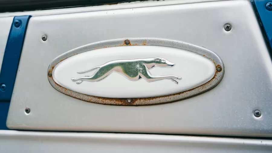 1954 GMC - Image 17 of 31
