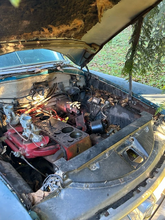 1954 Hudson Hornet - Image 16 of 19