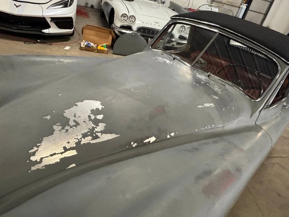 1954 Jaguar XK - Image 21 of 31