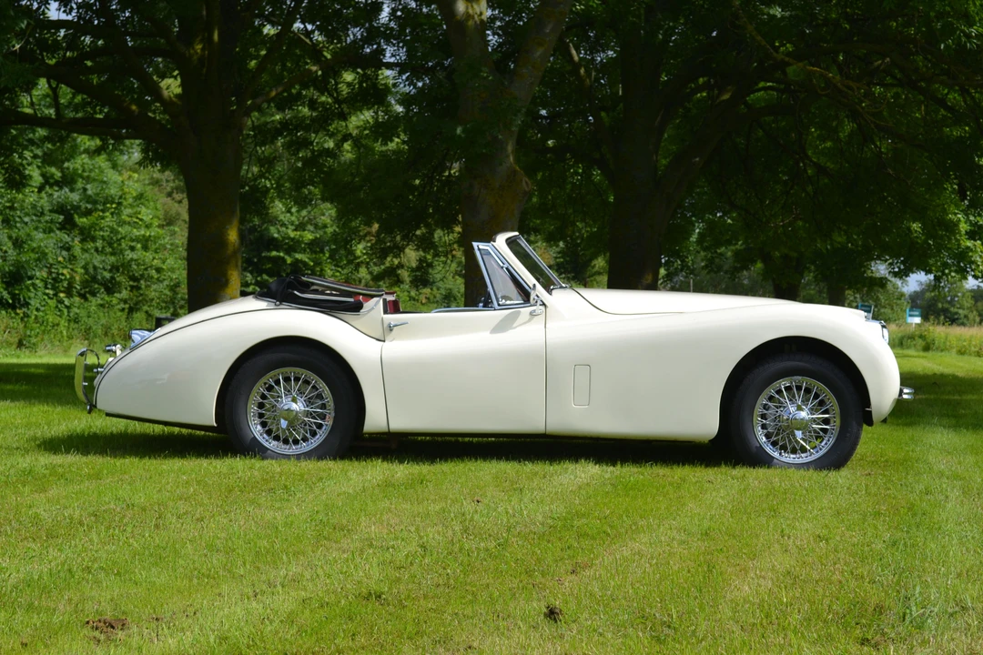 1954 Jaguar XK120 DHC Drophead - Image 4 of 13