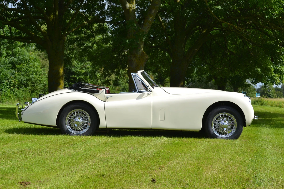 1954 Jaguar XK120 DHC Drophead - Image 11 of 13