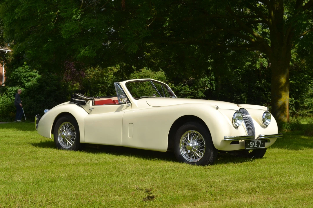 1954 Jaguar XK120 DHC Drophead - Image 12 of 13