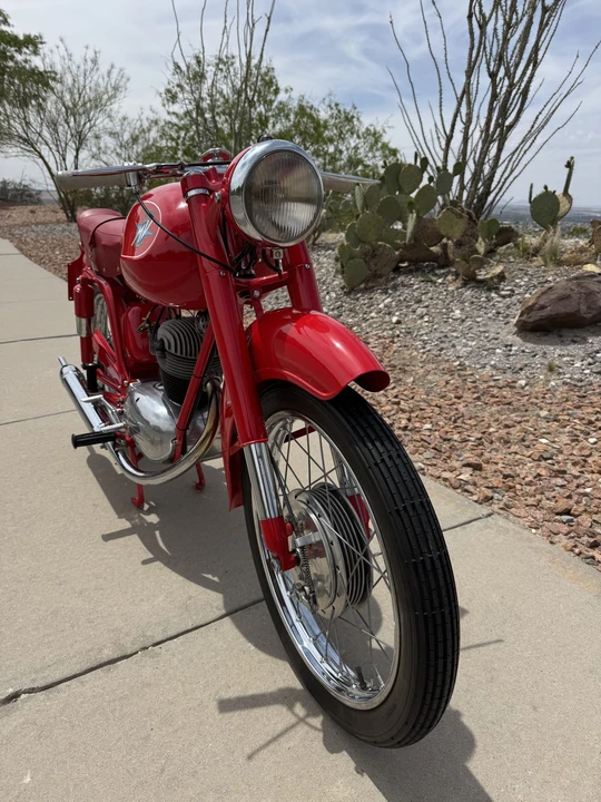 1954 MV Agusta - Image 21 of 31