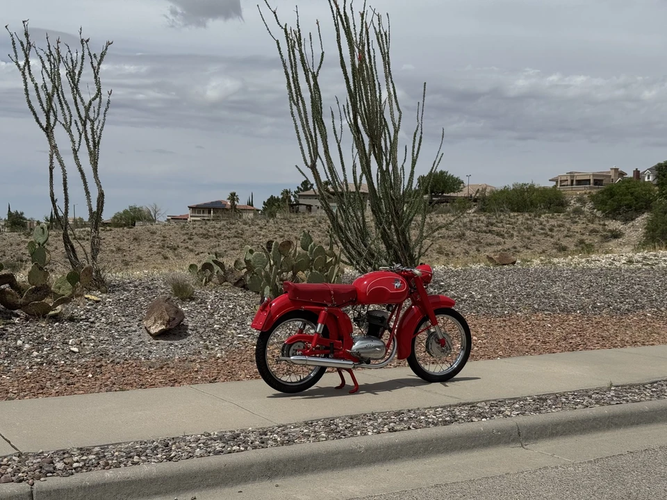 1954 MV Agusta - Image 18 of 31
