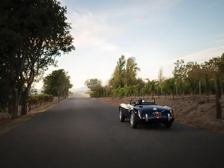 1954 Siata - Image 19 of 31