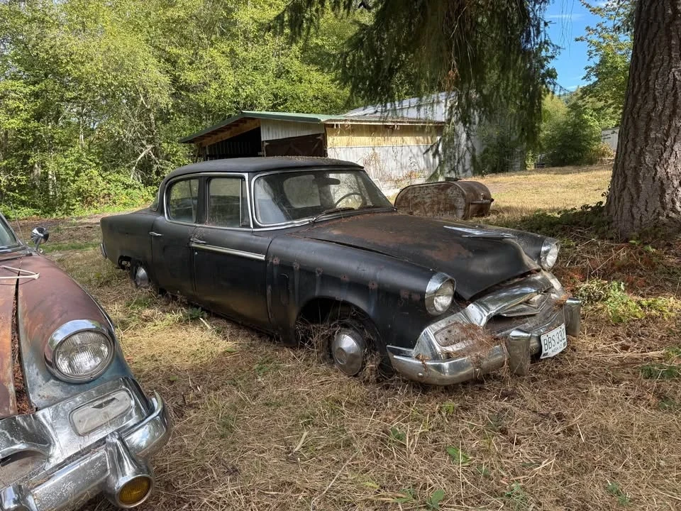 1954 Studebaker Champion - Image 3 of 9